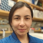 Ana Estrada-Florez, PhD