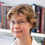 Jane E. Visvader, PhD
