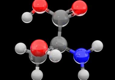 Exploring Amino Acids’ Impact on Tumor Growth