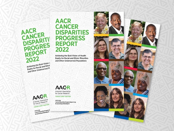 Cancer Disparities Progress Report 2022