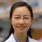 Yuanyuan Fu, PhD