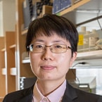 Pingping Hou, PhD