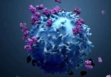 A New Immunotherapy Regimen for a Group of Rare Cancers  