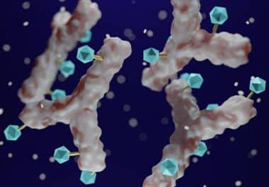 Taking Aim at Cancer with Antibody Drugs