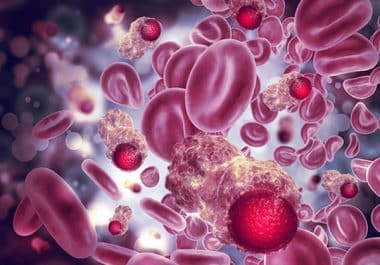 Targeted Therapy for Rare Blood Cancers 