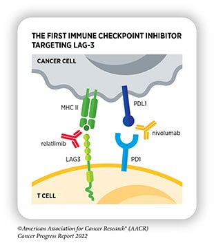 immune checkpoint inhibitors