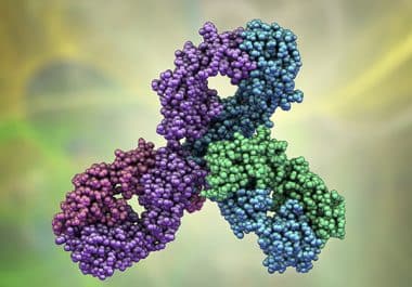 A Second Adjuvant Immunotherapy Approved for Non-small Cell Lung Cancer