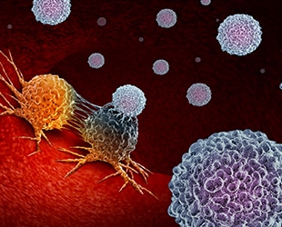 cancer immunotherapy cells