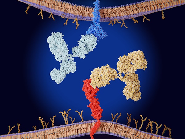 immune checkpoint inhibitor