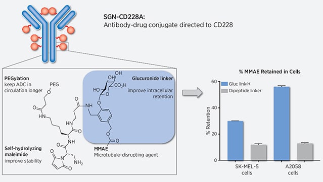 MCT graphical abstract