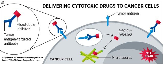 antibody drug conjugate graphic, small size