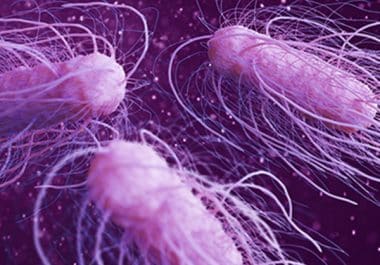 It’s the Little Things: A Role for Bacteria in Cancer Treatment 
