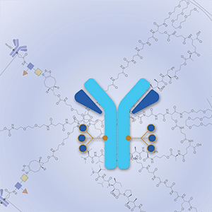 This is the cover art from the September 2023 issue of AACR's Molecular Cancer Therapeutics, representing a new antibody-drug conjugate.