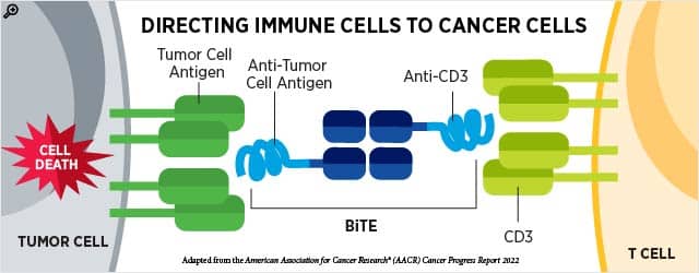 Graphic showing how bispecific T-cell engagers (BiTEs) fight cancer cells.