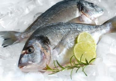 An Ocean of Opportunity