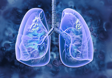 Novel Targeted Therapy for Lung Cancer 
