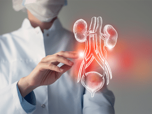 A doctor with a virtual depiction of the bladder and kidneys. Locally advanced or metastatic urothelial cancer is a type of bladder cancer that can now be treated with enfortumab vedotin-ejfv plus pembrolizumab.