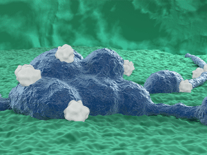 3D illustration of neuroblastoma tumor cells in the central nervous system.