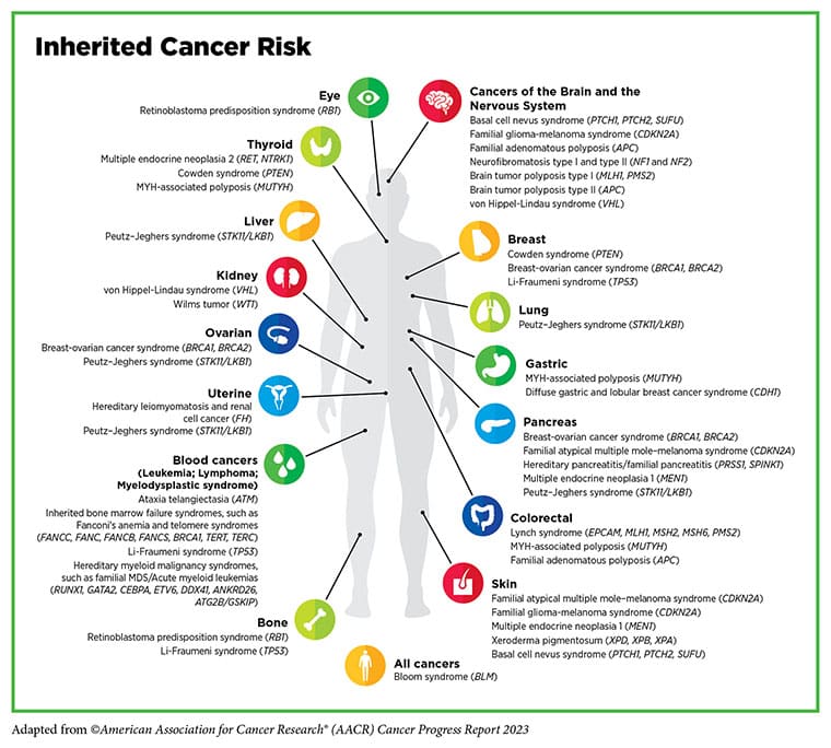 A diagram with lines pointing to various body parts and then a list of the genes associated with potential inherited cancer risk for that body part.