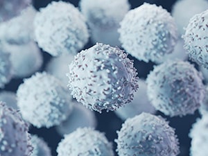 Illustration of white T cells, which are harvested from a patient’s tumor to produce TIL therapy.