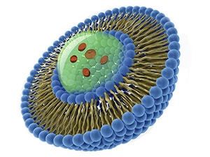 Illustration of a liposome. A spherical phospholipid bilayer is depicted by two concentric layers of blue phospholipid heads with brown phospholipid tails extending between them. The phospholipid bilayer surrounds a green aqueous sphere with circular red molecules floating inside. Irinotecan can packaged in liposomes to treat first-line metastatic pancreatic cancer.