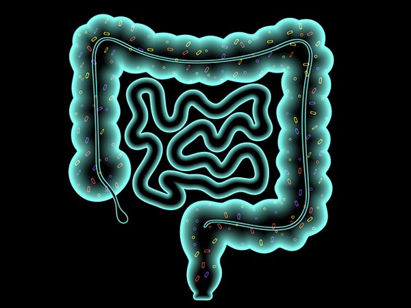 Trusting the Gut (Microbiome) in Diagnosing and Treating Colorectal Cancer