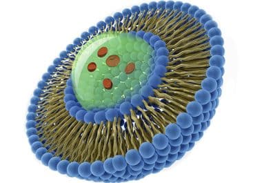 Chemotherapy Regimen for Pancreatic Cancer Receives Approval for First-line Therapy 