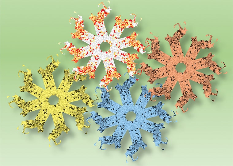 Heat maps of microRNA expression among patients from different racial and ethnic backgrounds are transposed onto the spokes of four interconnected gears. One gear retains the heat map’s original colors, and the other three have been colorized yellow, blue, and red, respectively. 