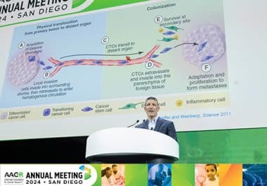 From Metastatic Seeds to Lineage Trees: How Tumor Evolution Shapes Metastasis