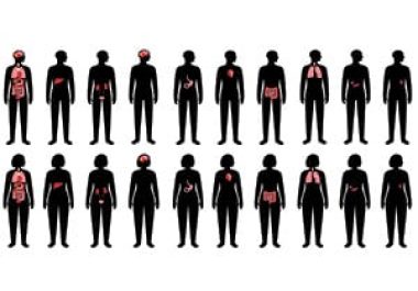 Tissue-agnostic Approval of HER2-targeted Therapy 