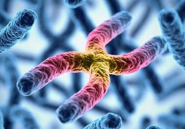 A New First-line Therapy for Certain Leukemias