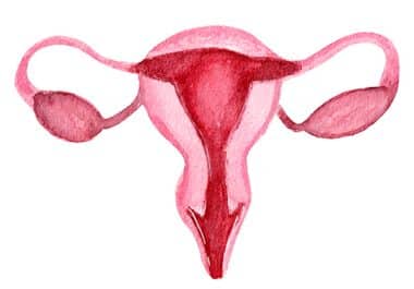 Full Approval Granted to Antibody-drug Conjugate for Gynecologic Cancers