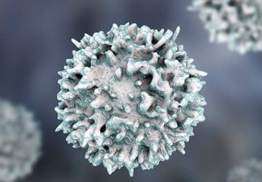 The First BTK Inhibitor for Follicular Lymphoma