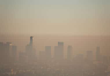 June 21: The Week in Cancer News