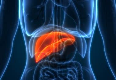 August 23: The Week in Cancer News