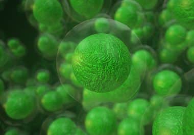 New Immune-suppressive Therapy for Graft-versus-host Disease