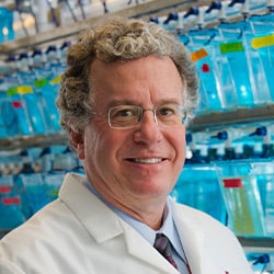 Meet the AACR Fellows: A. Thomas Look, MD
