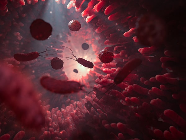 A Bacterial Gut Punch to Enhance CAR T-cell Therapy