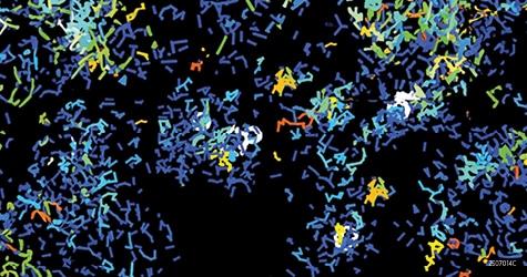 AACR Special Conference: Rare Cancers
