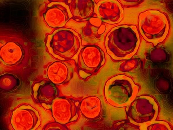 Editors’ Picks, September 2025: Cervical Cancer Screening, Immunotherapy Breakthroughs, Metabolic Vulnerabilities, and More 