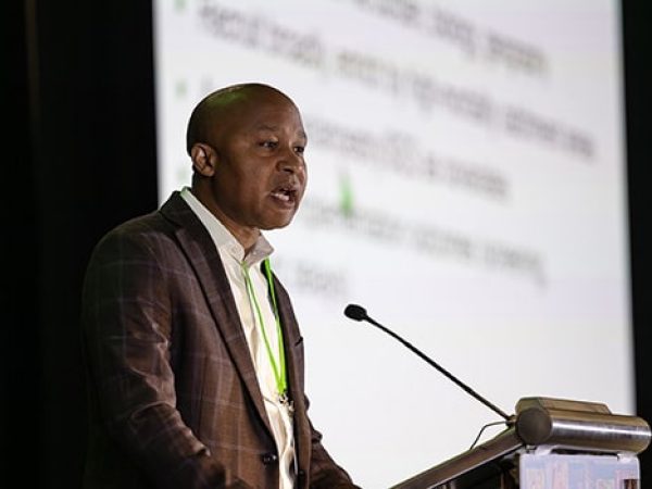 Examining the Evolving Landscape of Cancer Health Disparities Research 