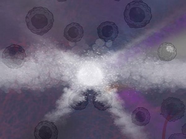 Evolving Our Understanding of Cancer’s Evolution, Progression, and Persistence