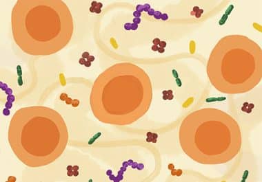 Editors’ Picks, November 2025: Sucralose’s Effect on Immunotherapy, Benefits of Caloric Restriction on Prostate Cancer Treatment, and More