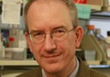 Louis M. Staudt, MD, PhD, FAACR