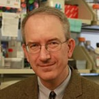 Louis M. Staudt, MD, PhD, FAACR