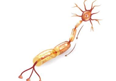 Selumetinib Approved for Adults With Inoperable Plexiform Neurofibromas