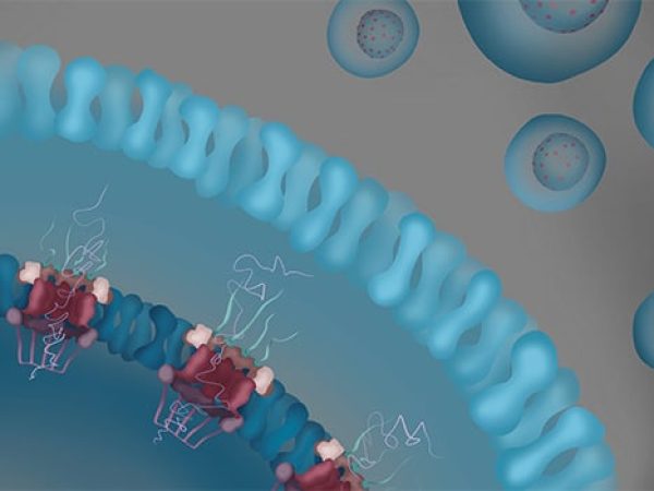 Editors’ Picks, December 2025: Potent Molecular Glues, Personalized CAR T-cell Therapies, and More