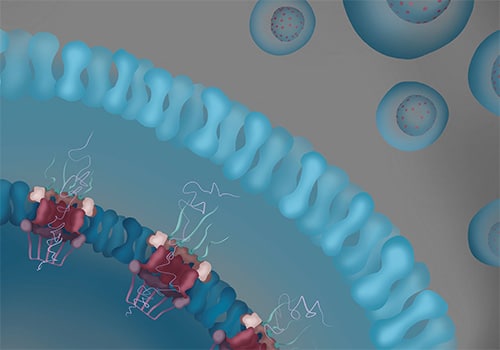 Editors’ Picks, December 2025: Potent Molecular Glues, Personalized CAR T-cell Therapies, and More