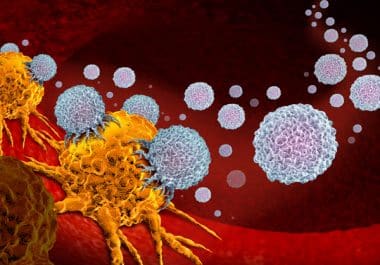 2025: The Year in Cancer News