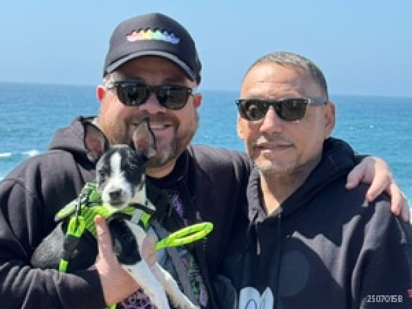 Recovering From the Unexpected